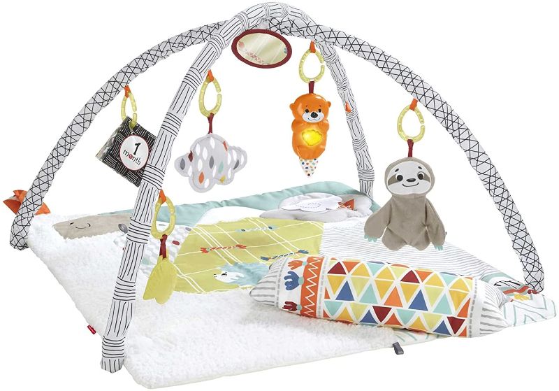 Photo 1 of Fisher-Price Perfect Sense Deluxe Gym, Plush Infant Play Mat with Toys
