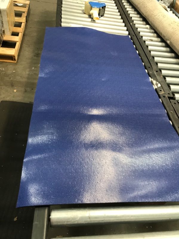 Photo 1 of BLUE FLOOR MAT 4X3'