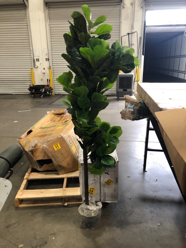 Photo 2 of  6FT Faux Fiddle Leaf Fig Tree, Artificial Plants for Home Decor Indoor, Lifelike Evergreen Fake Artificial Ficus Tree Perfect Match for Home Office, Indoor and Outdoor Housewarming Decoration.
