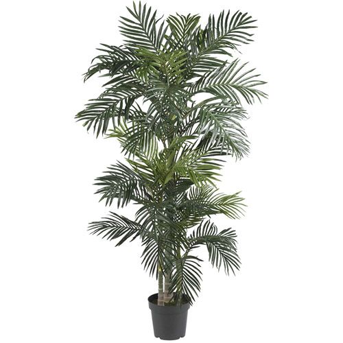 Photo 1 of 6.5Ft Potted Golden Cane Palm Tree by Nearly Natural | Michaels
