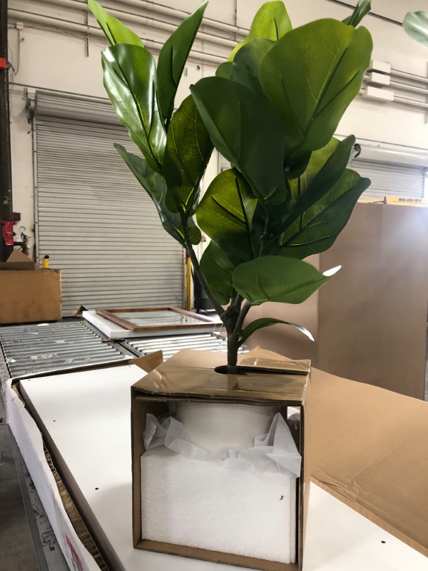 Photo 3 of 32" Large Fiddle Leaf Potted - Threshold™

