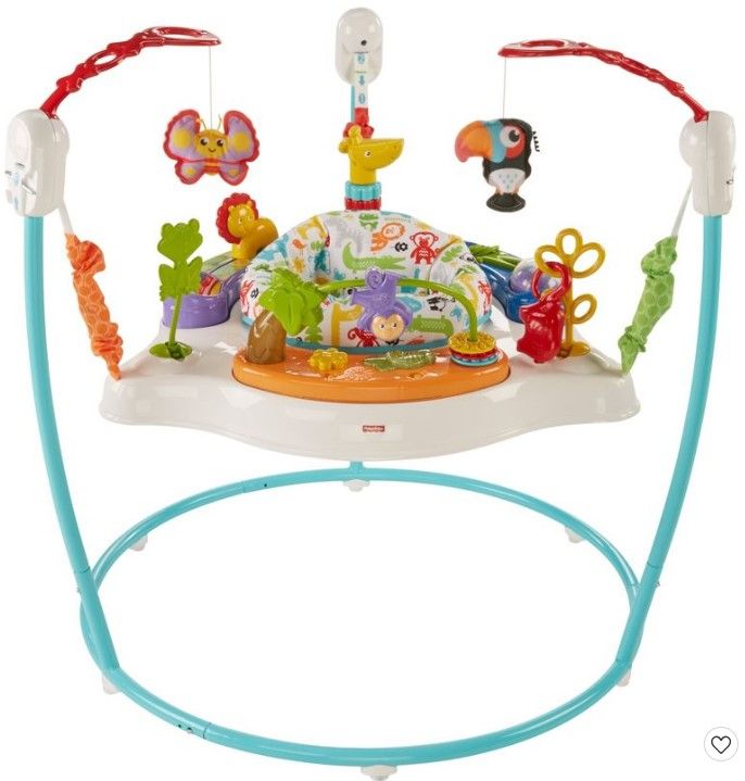 Photo 1 of Fisher-Price Animal Activity Jumperoo, Multicolor
