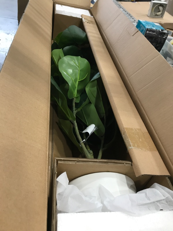 Photo 2 of 2 pack Large Fiddle Leaf Potted - Threshold™ 32 Inches (H) x 17 Inches (W) x 15 Inches (D)

