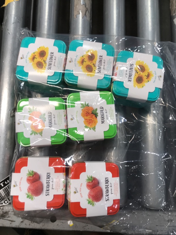 Photo 1 of 7 PACK: Buzzy grow your own kits
Includes Strawberry, sunflower, marigold