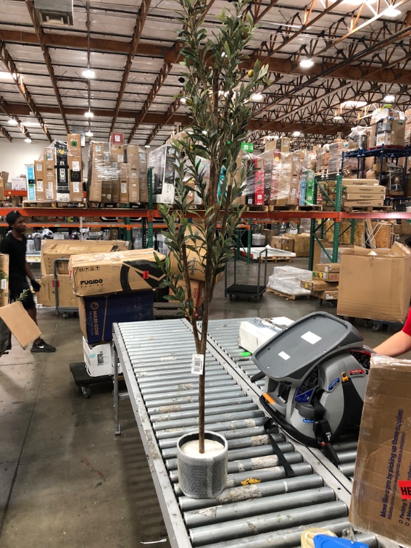 Photo 2 of 6.8Ft Potted Olive Tree by Nearly Natural in Green | Michaels
