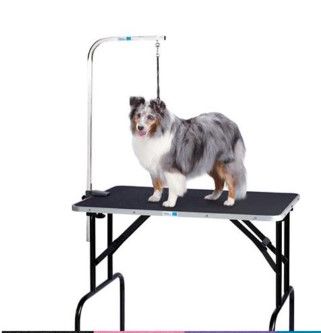 Photo 1 of  30 by 18-inch Grooming Table With Arm for Pets 
