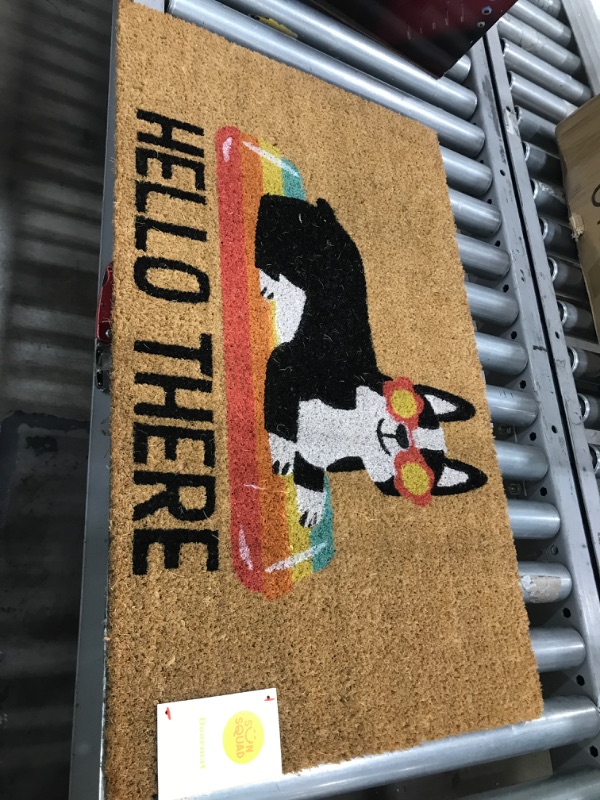 Photo 2 of 1'6"x2'6" Hello Summer Dog Doormat Natural - Sun Squad™

