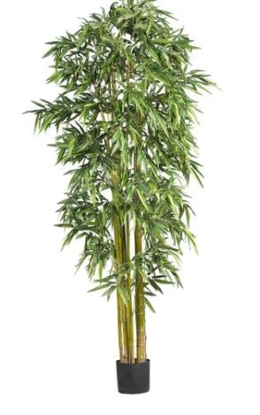 Photo 1 of 7FT BIGGY STYLE BAMBOO SILK TREE