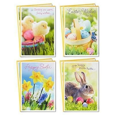 Photo 1 of (3 ITEM BUNDLE) 2 PACKS OF Hallmark Easter Cards Assortment, Fuzzy Wishes (8 Cards with Envelopes) + ALLCOLOR 24 Pc Pre Filled Plastic Easter Eggs with Basket for Kids with Surprise Toys Inside Easter Egg Basket Stuffers for Toddler Bulk Toys for Easter E