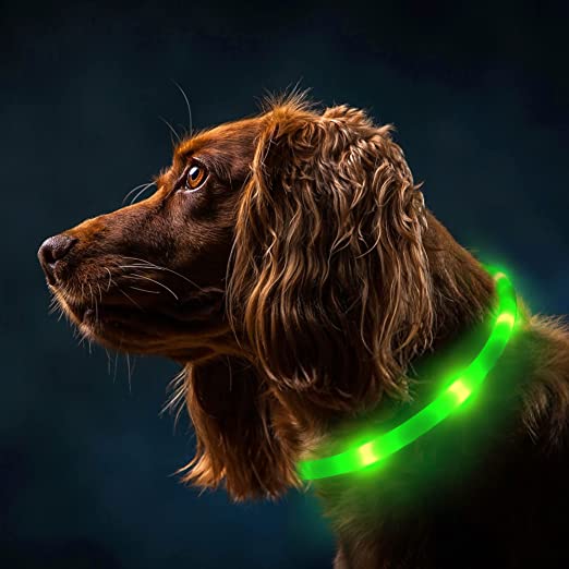 Photo 1 of Light Up Dog Collar, YOETEY USB Rechargeable LED Dog Collar for Night Walking, 4 Modes Function Adjustable Glow in The Dark Dog Collar for Small Medium Large Dog Cat Puppies ( Green, 200Mah) TESTED AND FUNCTIONS