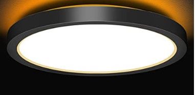 Photo 1 of 13 Inch LED Flush Mount Ceiling Light Black/White 