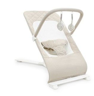 Photo 1 of Baby Delight Alpine Deluxe Portable Bouncer

