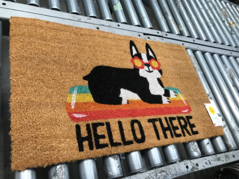 Photo 2 of 1'6"x2'6" Hello Summer Dog Doormat Natural - Sun Squad