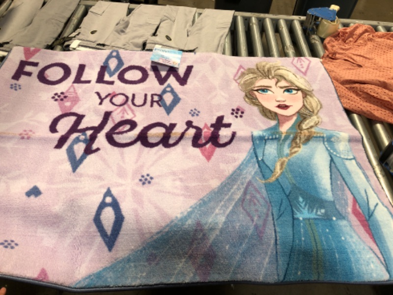 Photo 2 of 3'x5' Frozen Accent Rug--Size 40inx54in

