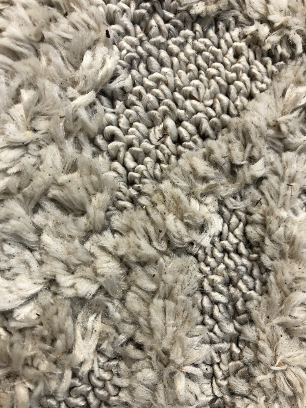 Photo 2 of (DIRTY/HAIRY/SMELLY) nuLOOM Ansley Soft Lattice Textured Tassel Area Rug, 7' 10" x 10' 10", Beige
