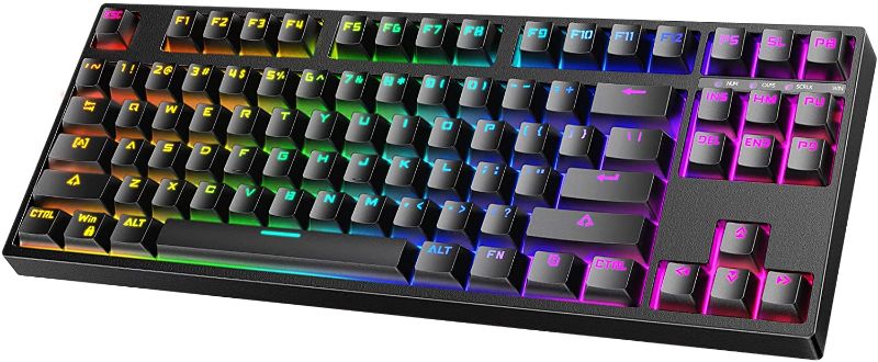 Photo 1 of TKL Mechanical Keyboard, hiwings Compact Gaming Keyboard RGB Rainbow Backlit 80% 87 Keys Wired Keyboard with Blue Switches for Windows, Mac with Type C Adapter (Extra OTG) (Black)
