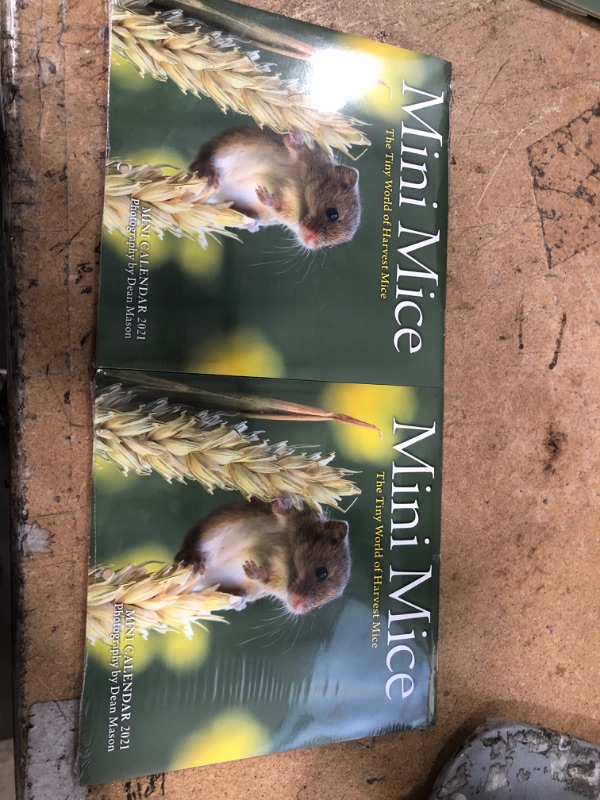 Photo 2 of ** SETS OF 2 **
Mini Mice Mini Wall Calendar 2021: The Tiny World of Harvest Mice Calendar – Mini Calendar, June 23, 2020
