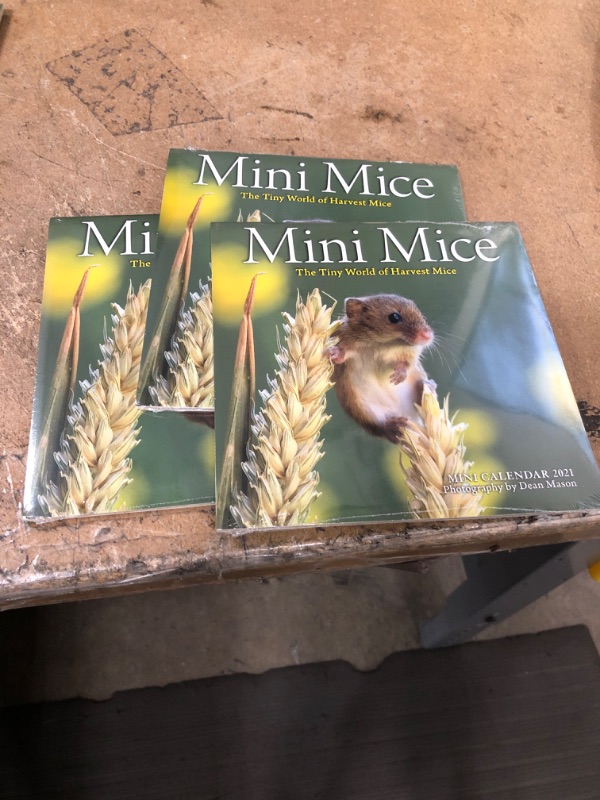 Photo 2 of ** SETS OF 3 **
Mini Mice Mini Wall Calendar 2021: The Tiny World of Harvest Mice Calendar – Mini Calendar, June 23, 2020
