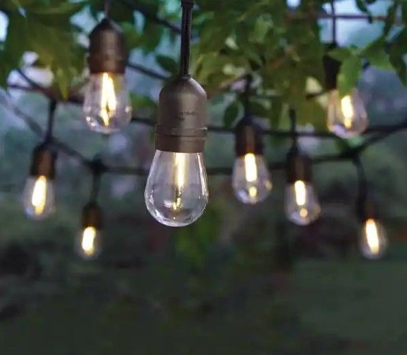 Photo 1 of 12-Light Indoor/Outdoor 24 ft. String Light with S14 Single Filament LED Bulbs
