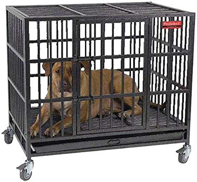 Photo 1 of (DENTED/BENT METAL TRAY)
ProSelect Empire Dog Cage, 42.25 x 30.75 x 41.25 inches
