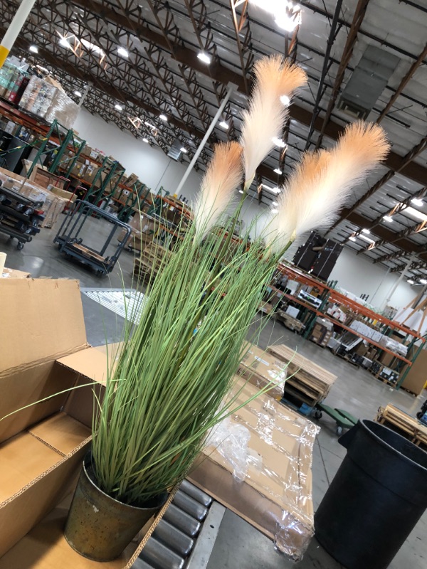 Photo 2 of 34.8 x 6.7 x 5.1 inches
35 inches Everygreen Potted Plants. Faux Pampas Grass Bulrush Reed, Phragmites Plants for Home, Office Decor
