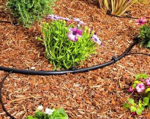 Photo 1 of Vigoro  1/2 in. (.700 O.D.) x 500 ft. Poly Drip Irrigation Tubing