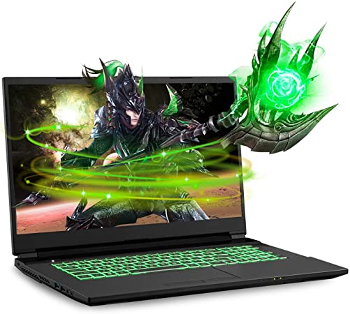 Photo 1 of Sager NP7877DW 17.3-Inch Thin Bezel FHD 144Hz Gaming Laptop, Intel i7-10875H, RTX 2060 6GB, 16GB RAM, 500GB NVMe SSD, Windows 10