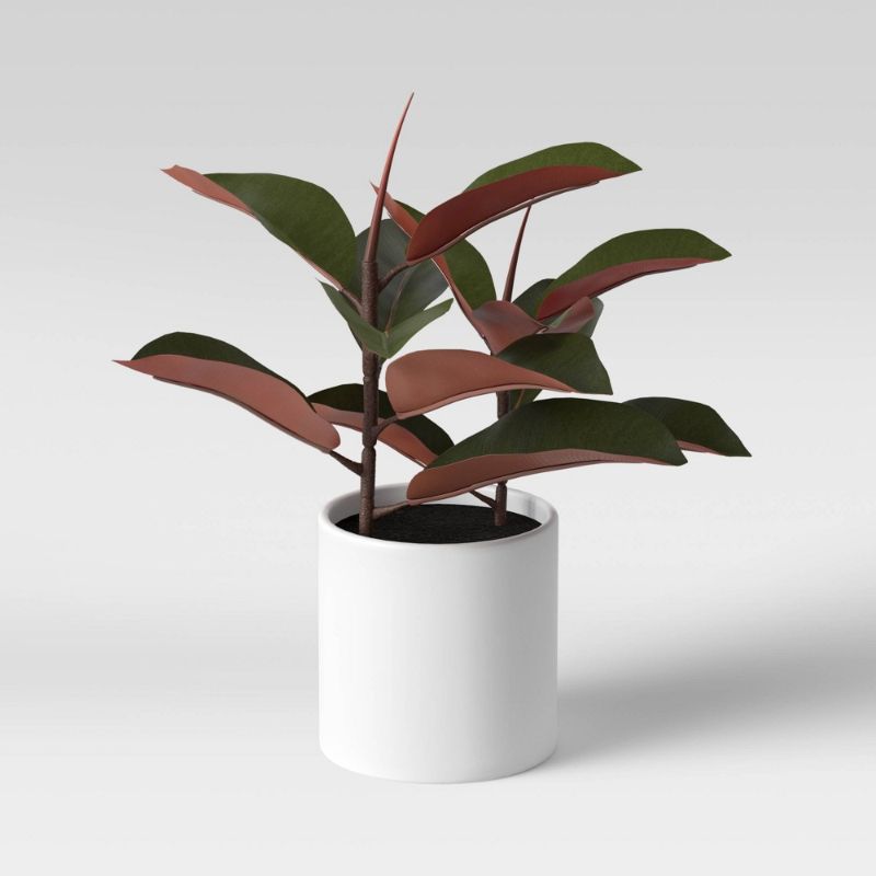 Photo 1 of **SET OF 2* 15" X 10" Artificial Rubber Plant in Ceramic Pot - Project 62™
