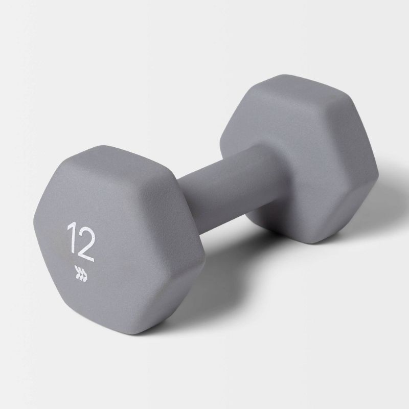 Photo 1 of **SET OF 2** Dumbbell 12lbs Gray - All in Motion
