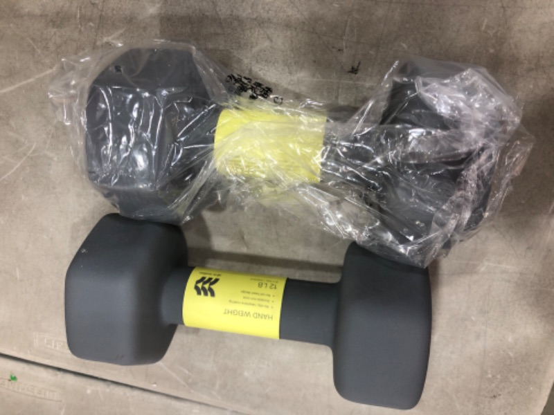 Photo 1 of **SET OF 2** Dumbbell 12lbs Gray - All in Motion
