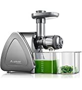 Photo 1 of Aobosi slow juicer AMR520 120V 60Hz 150W Grey