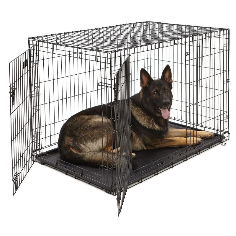 Photo 1 of **MINOR DAMAGE** Midwest ICrate Double Door Folding Dog Crate, 48" L X 30" W X 33" H, XX-Large, Black
