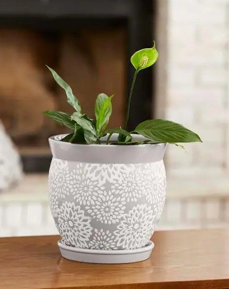 Photo 1 of *2 pots*
Southern Patio
Farrah 9.1 in. x 9.1 in. Gray Ceramic Indoor pot