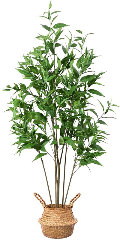 Photo 1 of Ferrgoal Artificial Eucalyptus Tree, 63 Inch Tree Fake Plant in Pot for Home and Office Decor, Potted Faux Plants Tall Artificial Trees for Indoor, Outdoor, Lifelike Home Decoration
