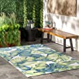 Photo 1 of : nuLOOM Lisa Floral Indoor/Outdoor Area Rug, 3'x5', Multi