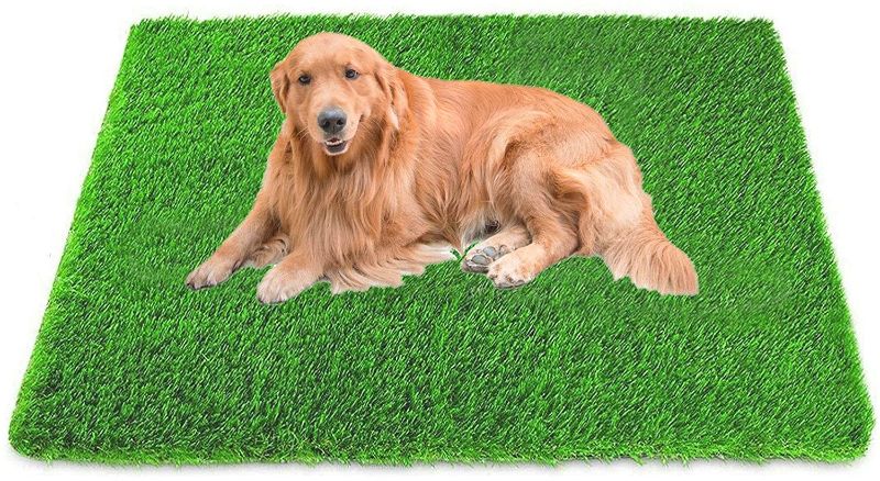 Photo 1 of  47.24inx31.5in Dog Grass Artificial Turf Pet Fake Grass Pee Pads Doormat for Puppy Potty Trainer Indoor Outdoor Rug Patio Lawn