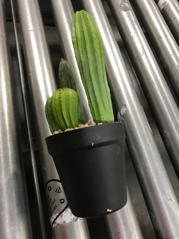 Photo 2 of Artificial Saguaro Cactus Faux Plants 11 Inch with Black Pot for Home Office Store
