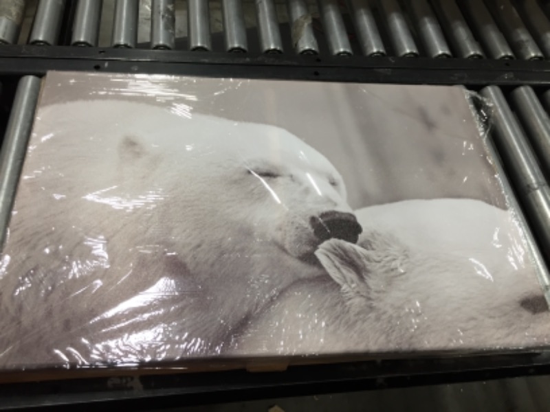 Photo 1 of 30x20 inch Black and White Polar Bear Picture 