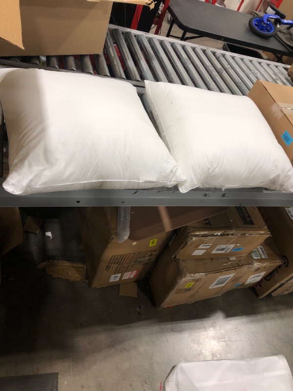 Photo 1 of 22X22 PILLOW INSERTS 