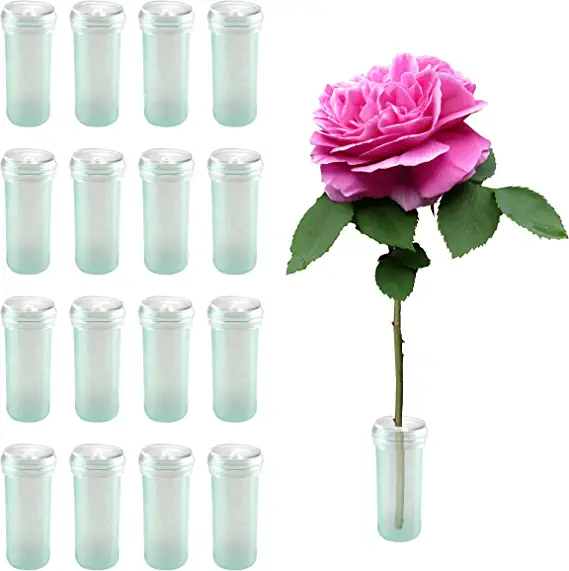 Photo 1 of 200 Pack Floral Water Tubes 1.6 Inch Clear Flower Vials with Caps for Stem Cutting Floral Arrangements
