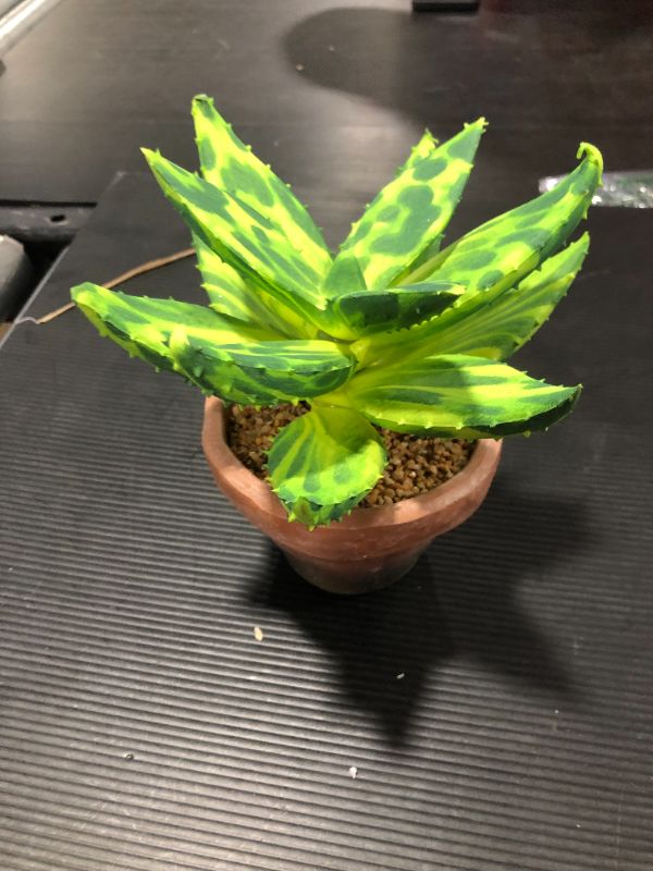 Photo 2 of Grand Verde Tiger Aloe Potted Artificial Succulent Plant