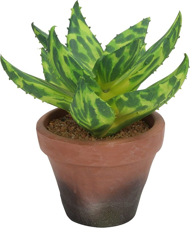 Photo 1 of Grand Verde Tiger Aloe Potted Artificial Succulent Plant