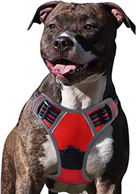 Photo 1 of Eagloo Dog Harness No Pull-LARGE 