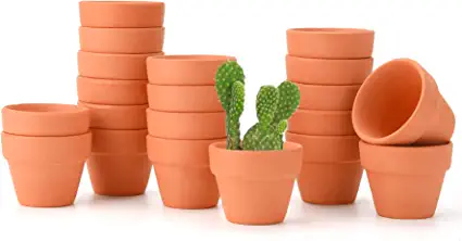 Photo 1 of  1.5 Inch Terracotta Pots Pack of 20 - Mini Clay Pot with Drainage Hole for Tiny Cactus Herb lithop, Small Succulent Planter Nursery Plant Pot for Home Garden Table DIY Hand Craft Gift Decoration