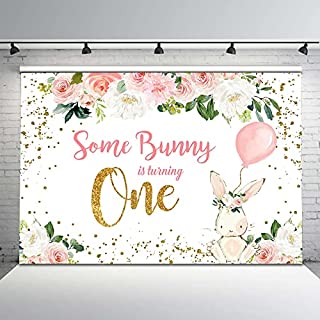 Photo 1 of Avezano Some Bunny is One Backdrop Spring Easter Bunny Birthday Background Floral Rabbit Girl First Birthday Party Decorations Photo Booth Props (7x5) (B09MVKLMCT)

