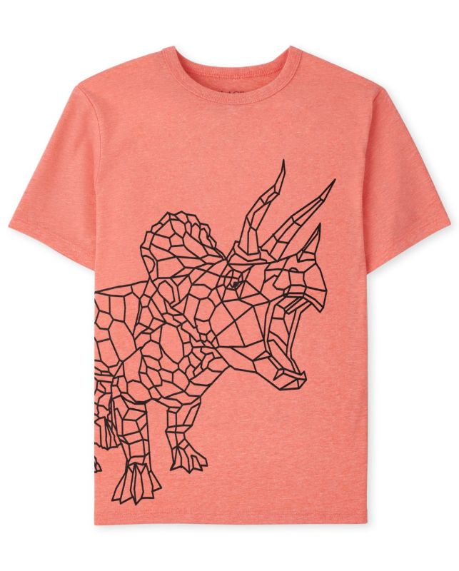 Photo 1 of Boys Dino Graphic Tee (M)
