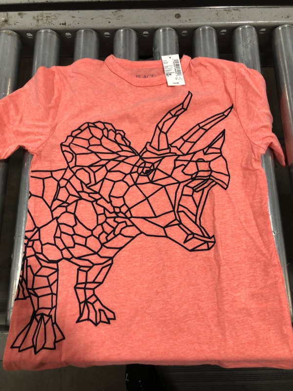 Photo 2 of Boys Dino Graphic Tee (M)
