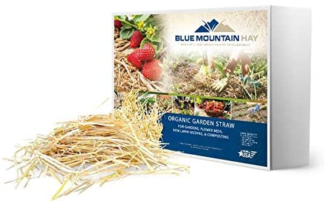 Photo 1 of 
Organic Garden Straw (10lb)