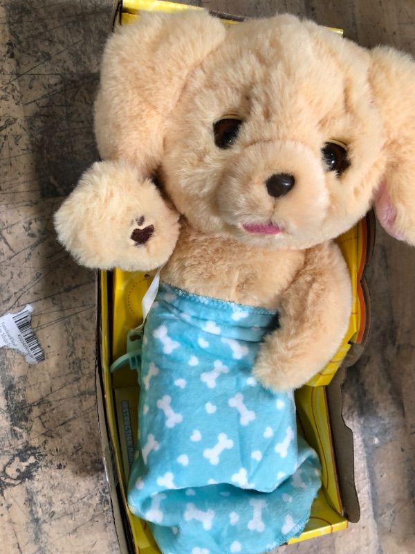 Photo 4 of 2 Little Live Pets - Cozy Dozys: Charlie The Puppy | Interactive Plush Toy Dog. 25+ Sounds and Reactions. Magical Eye Movement. Blanket, Pacifier and Batteries Included. for Kids Ages 4+.
