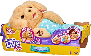 Photo 1 of 2 Little Live Pets - Cozy Dozys: Charlie The Puppy | Interactive Plush Toy Dog. 25+ Sounds and Reactions. Magical Eye Movement. Blanket, Pacifier and Batteries Included. for Kids Ages 4+.
